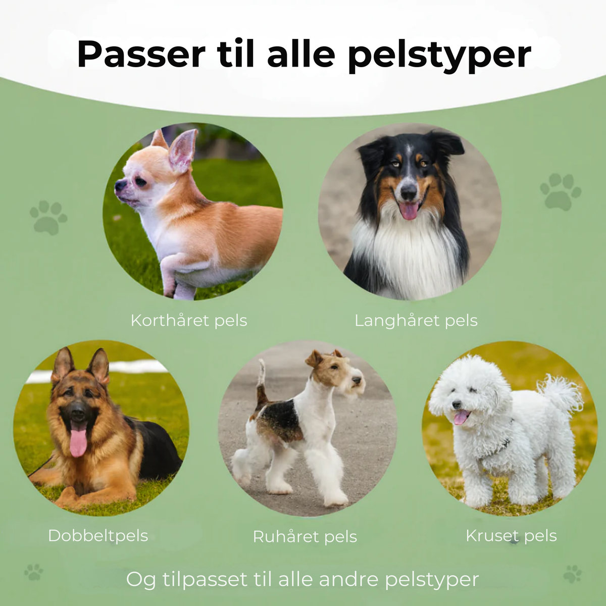 PelsFri™ Hundebørste™ | Slut med pels – hundebørsten alle elsker