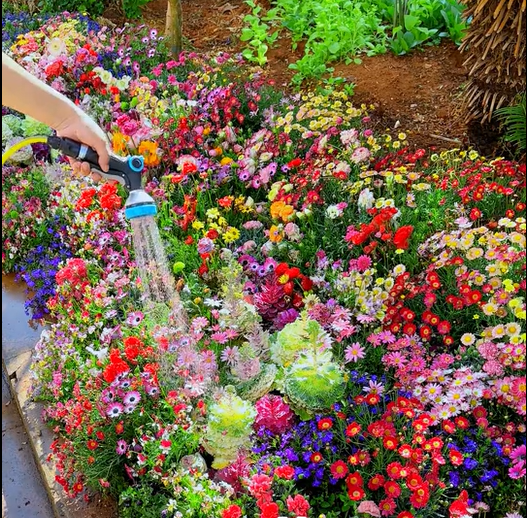 LoveleiicBloom™ – Farverigt Blomstermix med over 60 Sorter (1000 stk.)