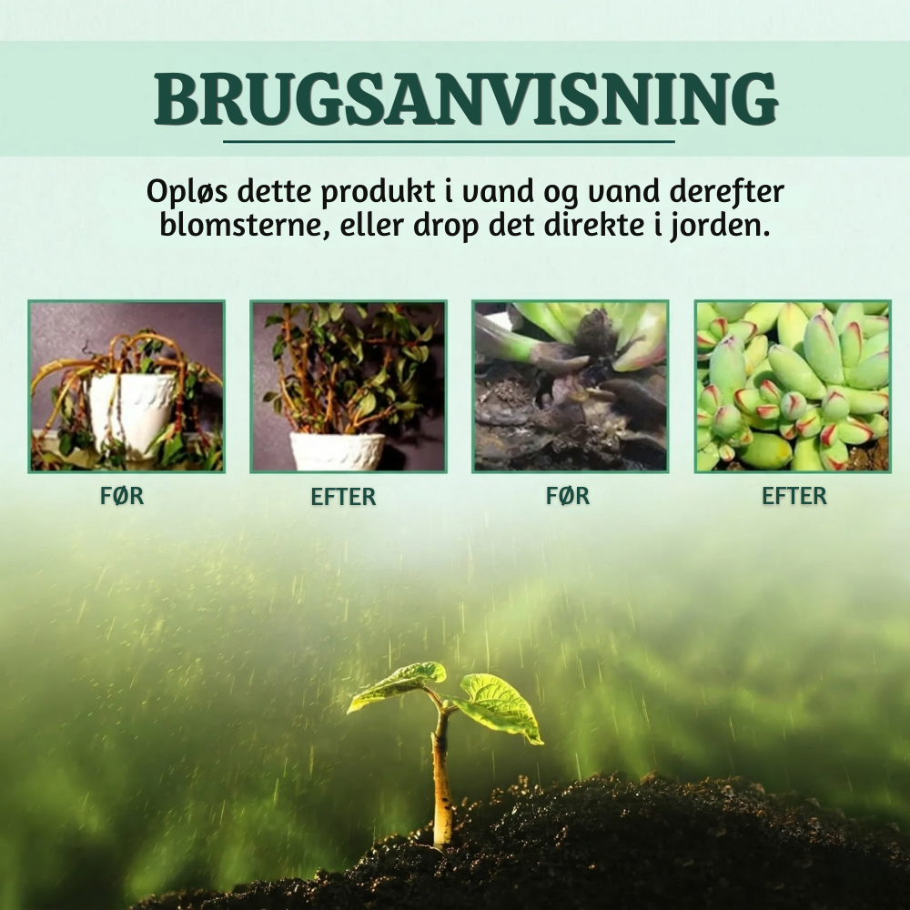 LoveleiKraft™ – Naturlig Loveleistyrke & Optimal Plantevækst