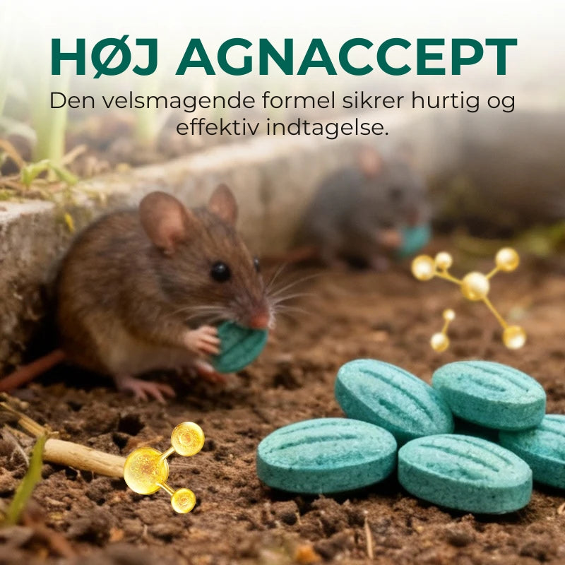 Rottex™ – Loveleifessionel Bekæmpelse af Rotter og Mus