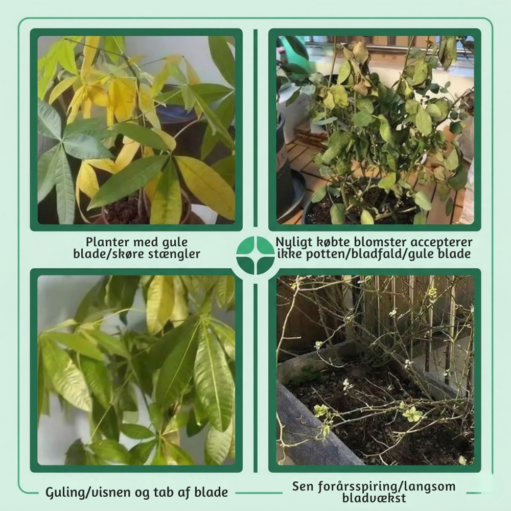 LoveleiKraft™ – Naturlig Loveleistyrke & Optimal Plantevækst