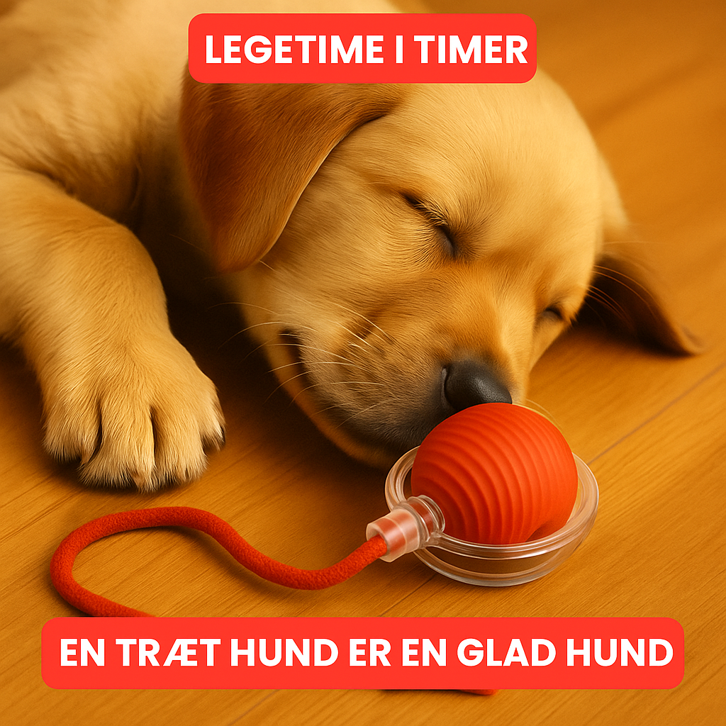 PoteBold™ | Interaktiv legebold til hunde og katte