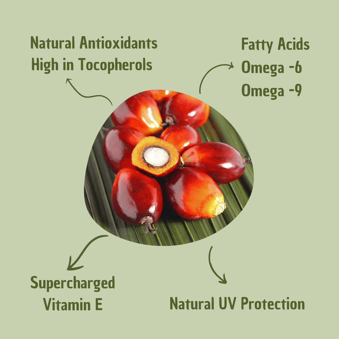 Batana-olie – nærende med omega og E-vitamin