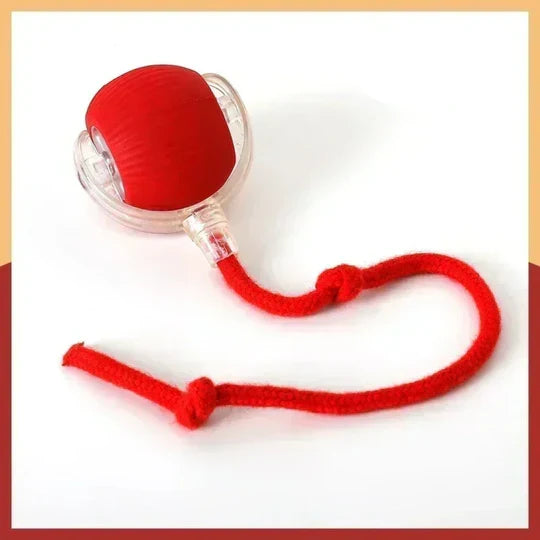 PoteBold™ | Interaktiv legebold til hunde og katte