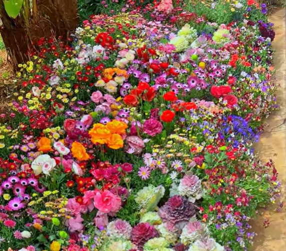 LoveleiicBloom™ – Farverigt Blomstermix med over 60 Sorter (1000 stk.)
