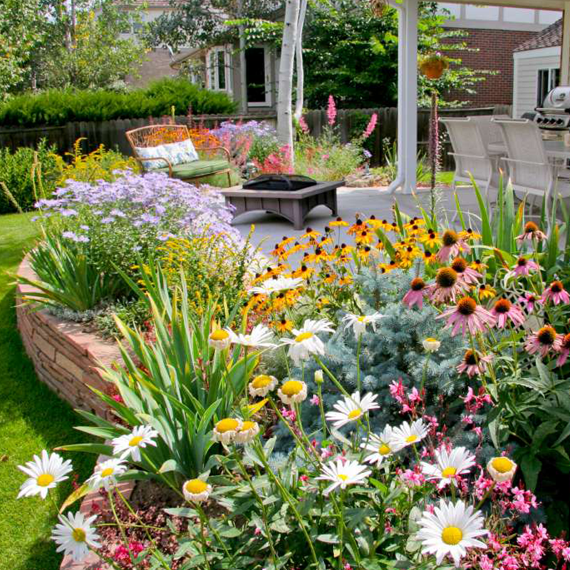 LoveleiicBloom™ – Farverigt Blomstermix med over 60 Sorter (1000 stk.)