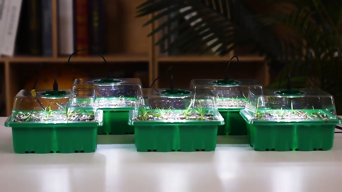 GrønHjem™ - Indendørs Drivhus med LED-lys & Lovelei Timer